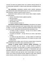 Referāts 'Apdrošināšanas sabiedrības Latvijā un to pakalpojumu novērtējums', 13.