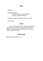 Konspekts 'Šampūnu ķīmiskais sastāvs', 2.