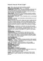 Konspekts 'Šampūnu ķīmiskais sastāvs', 3.