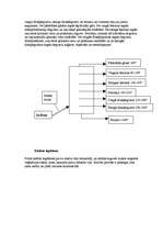 Konspekts 'Kurināmie', 2.