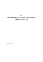 Eseja 'Der Begriff der Pflich für Immanuel Kant in Grundlegung zur Metaphysik der Sitte', 1.