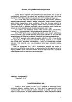 Biznesa plāns 'SIA "Vegi"', 7.