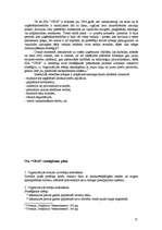 Biznesa plāns 'SIA "Vegi"', 15.