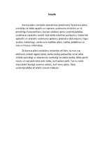 Biznesa plāns 'Suvenīru veikals', 5.
