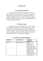 Biznesa plāns 'Suvenīru veikals', 8.
