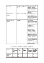 Biznesa plāns 'Suvenīru veikals', 9.