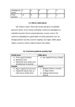 Biznesa plāns 'Suvenīru veikals', 10.