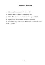 Eseja 'Cilvēku mijiedarbība saskarsmē', 6.