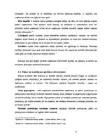 Referāts 'Uzņēmuma “XXX” finanšu analīze', 6.