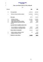 Referāts 'Uzņēmuma “XXX” finanšu analīze', 29.