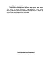 Referāts 'SIA "xxxxx" uzņēmuma analīze un attīstības perspektīvas', 7.