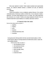 Referāts 'SIA "xxxxx" uzņēmuma analīze un attīstības perspektīvas', 19.