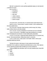 Referāts 'SIA "xxxxx" uzņēmuma analīze un attīstības perspektīvas', 23.