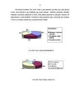 Referāts 'SIA "xxxxx" uzņēmuma analīze un attīstības perspektīvas', 33.