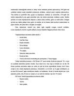 Referāts 'SIA "xxxxx" uzņēmuma analīze un attīstības perspektīvas', 43.