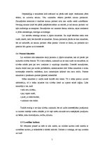 Referāts 'Māsu valodas kultūra saskarsmē ar pacientiem', 7.