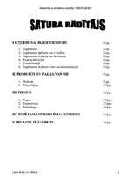 Biznesa plāns 'Biznesa plāns "Sikspārnis"', 2.