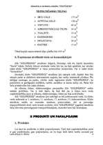 Biznesa plāns 'Biznesa plāns "Sikspārnis"', 6.