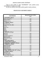 Biznesa plāns 'Biznesa plāns "Sikspārnis"', 8.