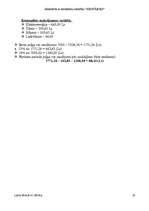 Biznesa plāns 'Biznesa plāns "Sikspārnis"', 20.