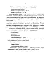 Referāts 'Reklāma, tās nozīme mūsdienu tirgus apstākļos', 17.