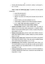 Referāts 'Reklāma, tās nozīme mūsdienu tirgus apstākļos', 20.