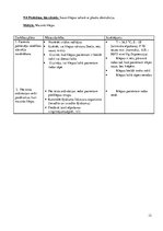 Prakses atskaite 'Sirds mazspējas slimnieka aprūpes plāns', 12.