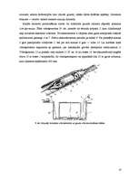 Referāts 'Urbšanas iekārtas', 16.