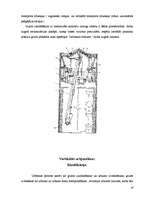 Referāts 'Urbšanas iekārtas', 19.