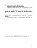 Referāts 'Urbšanas iekārtas', 31.