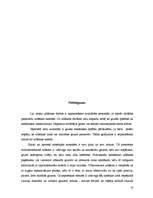 Referāts 'Urbšanas iekārtas', 53.