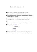 Referāts 'Politisko partiju būtība', 9.