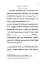 Referāts 'Interneta lietotāju attieksme pret reklāmu internetā', 14.