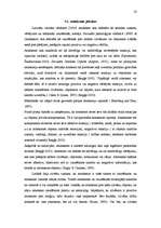 Referāts 'Interneta lietotāju attieksme pret reklāmu internetā', 23.