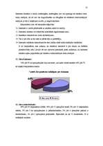 Referāts 'Interneta lietotāju attieksme pret reklāmu internetā', 35.