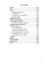 Referāts 'Silikātu rūpniecība Mazsalacas apkārtnē 19.gadsimta beigās un 20.gadsimta sākumā', 4.