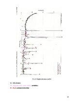 Referāts 'Silikātu rūpniecība Mazsalacas apkārtnē 19.gadsimta beigās un 20.gadsimta sākumā', 26.