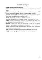 Referāts 'Silikātu rūpniecība Mazsalacas apkārtnē 19.gadsimta beigās un 20.gadsimta sākumā', 40.