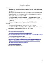 Referāts 'Silikātu rūpniecība Mazsalacas apkārtnē 19.gadsimta beigās un 20.gadsimta sākumā', 41.