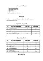 Biznesa plāns 'Biznesa plāns. SIA "Motors"', 4.