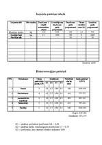 Biznesa plāns 'Biznesa plāns. SIA "Motors"', 6.