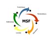Prezentācija 'MSF programma', 3.