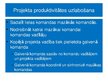 Prezentācija 'MSF programma', 11.