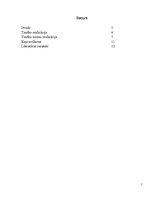 Referāts 'Tiesību realizācija', 2.