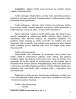 Referāts 'Tiesību realizācija', 8.