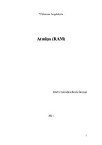 Referāts 'Operatīvā atmiņa', 1.