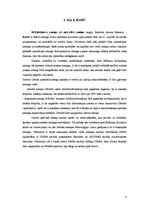 Referāts 'Operatīvā atmiņa', 3.