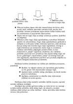 Referāts 'Piens "Lāse"', 34.