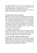 Biznesa plāns '"Vidzemes" šķiņķa ražošanas tehnoloģijas un ekonomiskie aprēķini', 10.