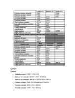 Referāts 'Viesnīcas "Hercogs Jēkabs" finanšu rādītāju analīze', 10.
